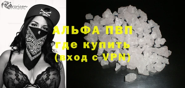 гашик Верея