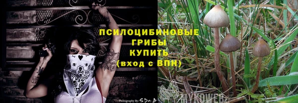 прущая мука Богородицк