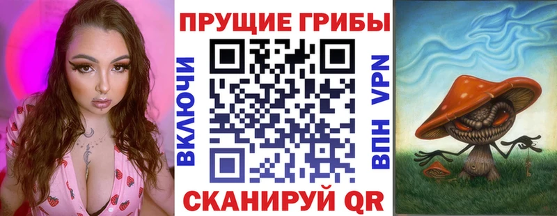 Галлюциногенные грибы Psilocybe  Духовщина 